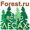 Forest.RU - Всё о российских лесах