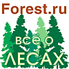 Forest.RU -    