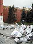 Chernobyl Day Protests in Moscow