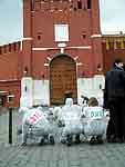 Chernobyl Day Protests in Moscow